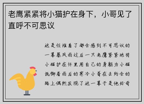 老鹰紧紧将小猫护在身下，小哥见了直呼不可思议